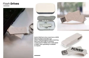 فلاش ميموري